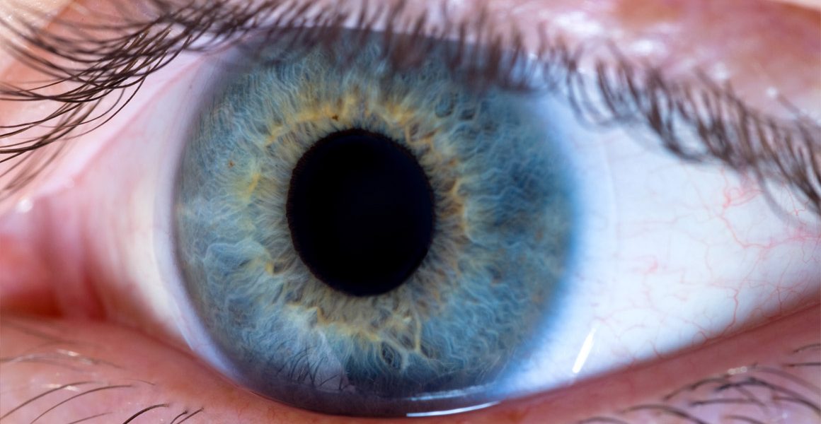 Retina Services